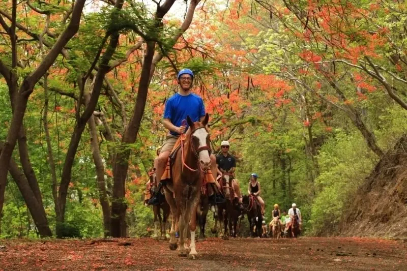 a man riding a horse in a forest