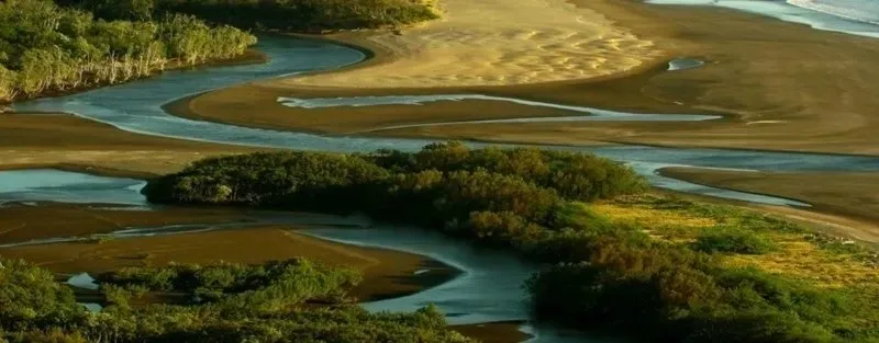 a body of water