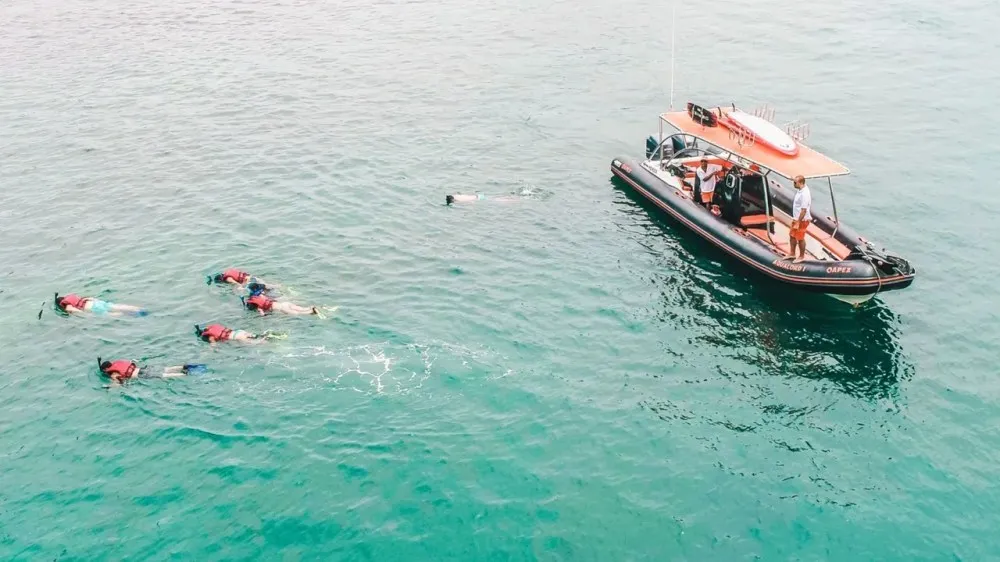 a group of people swimming in a body of water