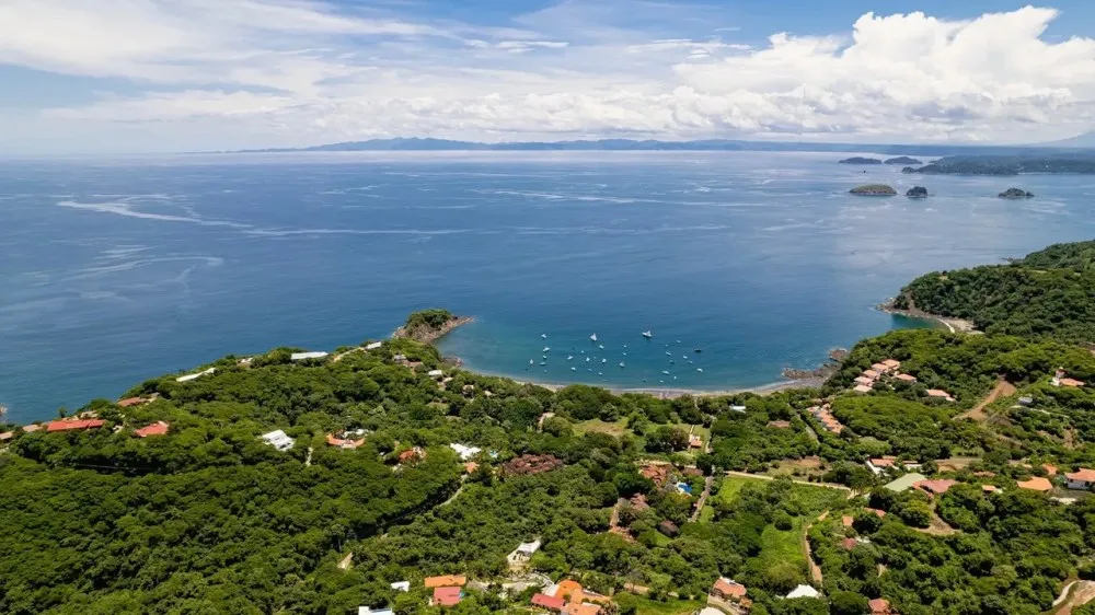 a close up of a hillside next to a body of water