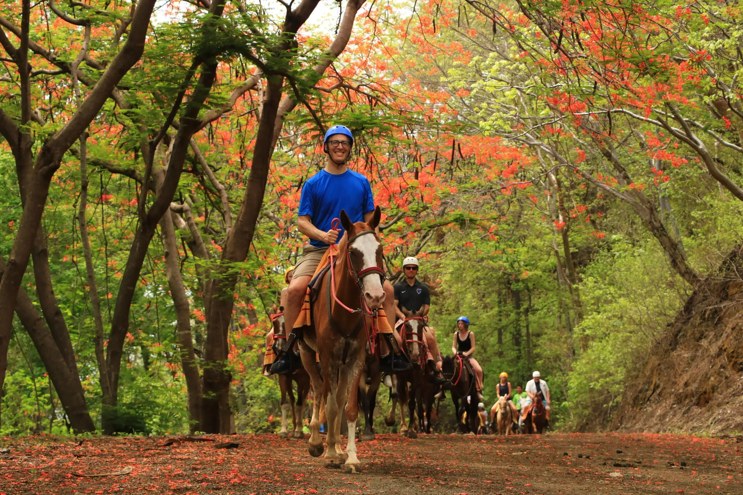 Horseback Riding Tour